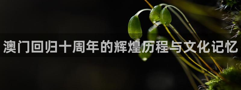 蓝狮在线的钱能提出来吗