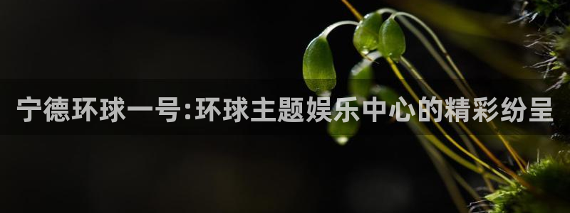 蓝狮在线注册平台官网