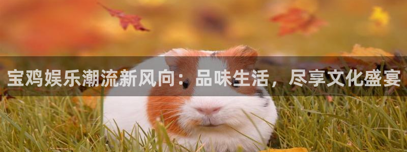 蓝狮在线登录