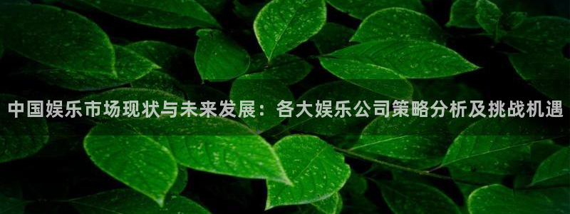 蓝狮在线平台