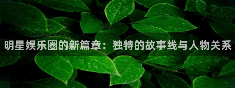 蓝狮在线邀请码怎么获得